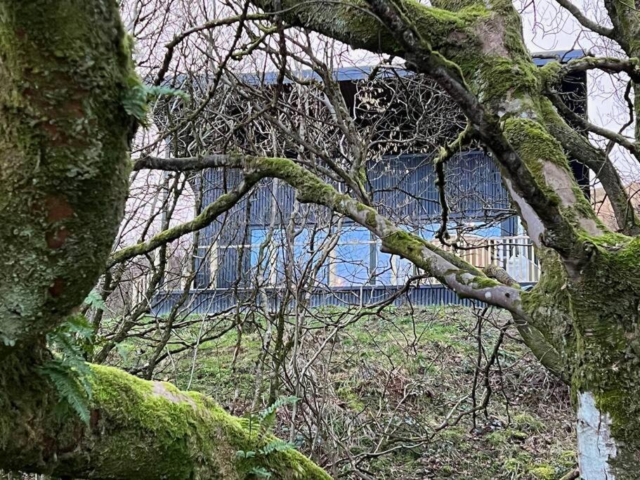 Luxury Lodge In The Treetops Llanbrynmair Buitenkant foto